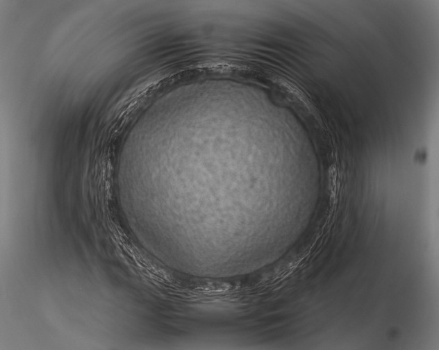 X0000116101111200912071253