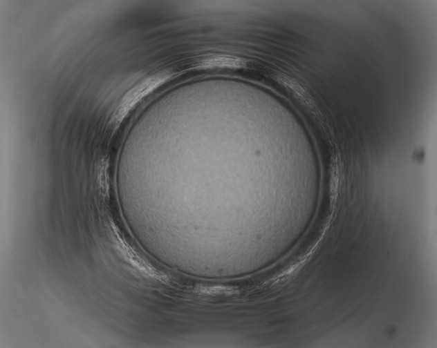 X0000116101113200912071253