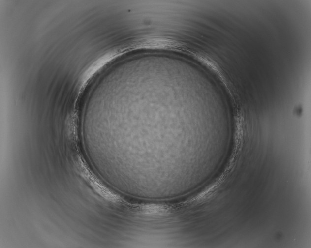 X0000116101114200912071253