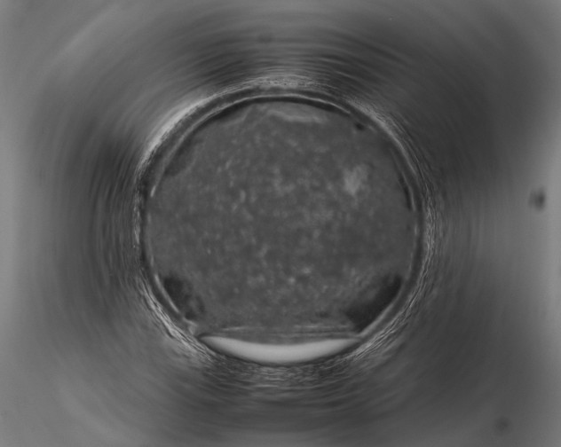 X0000116101115200912071253