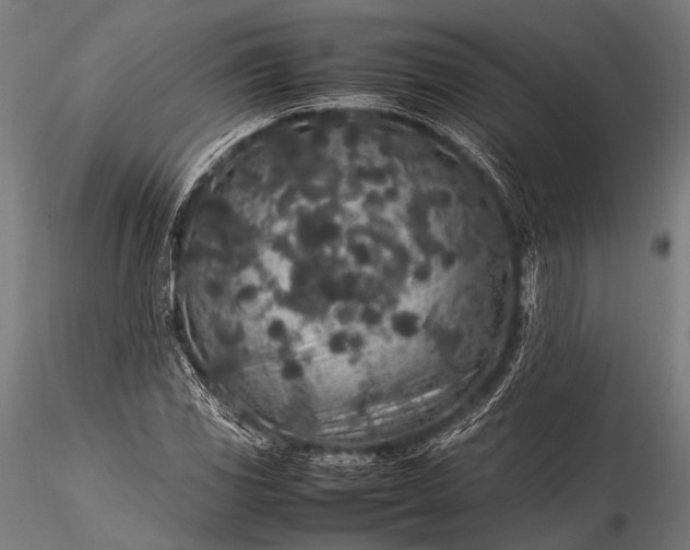 X0000116101117200912071253