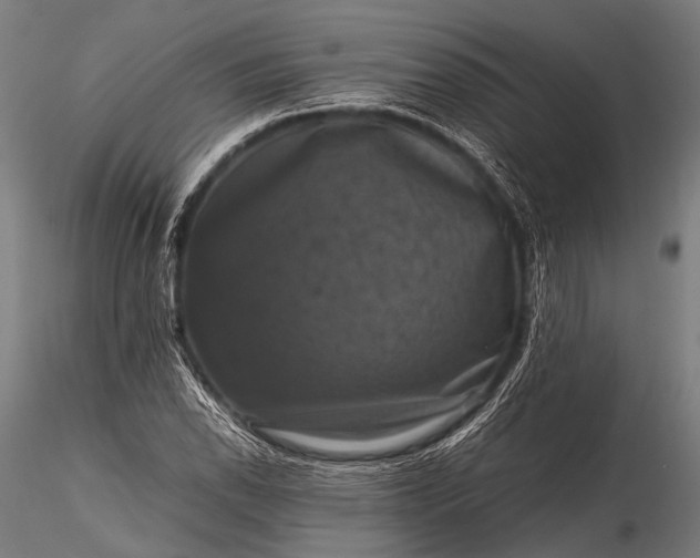 X0000116101118200912071253