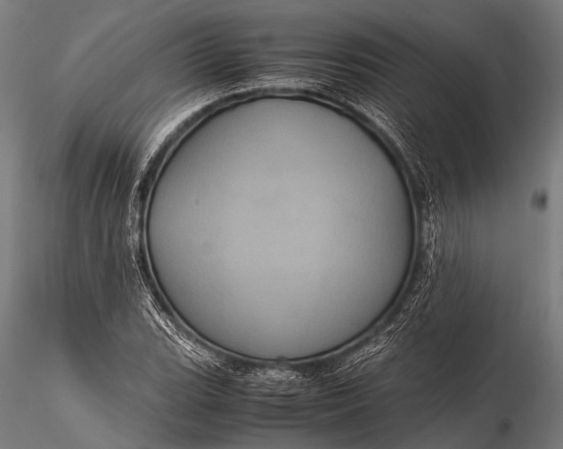 X0000116101119200912071253