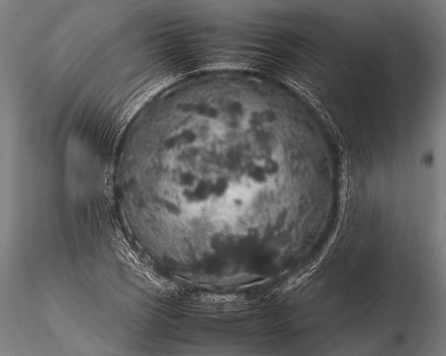 X0000116101121200912071253