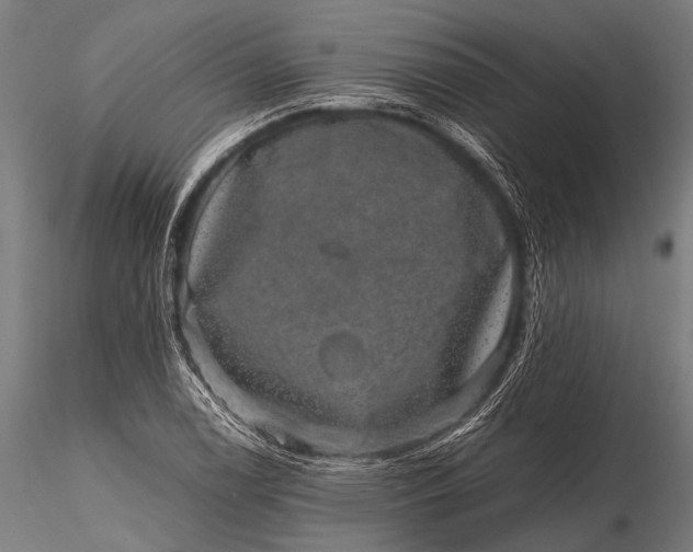 X0000116101122200912071253