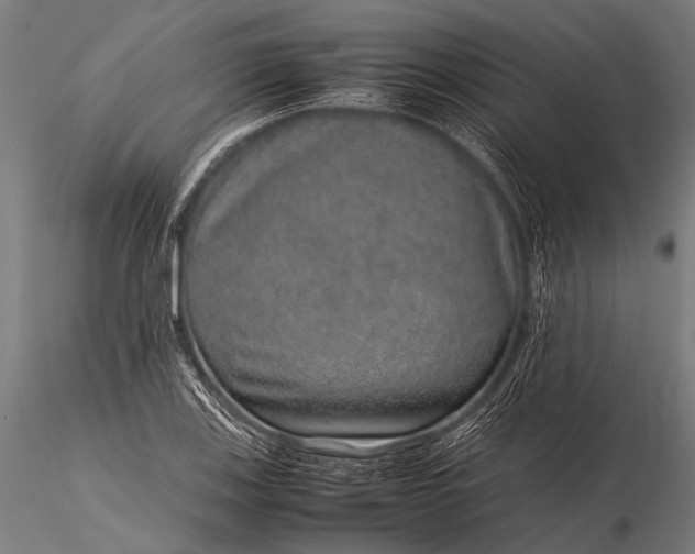 X0000116101123200912071253