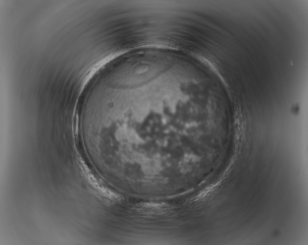 X0000116101125200912071253