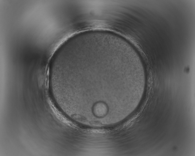 X0000116101126200912071253