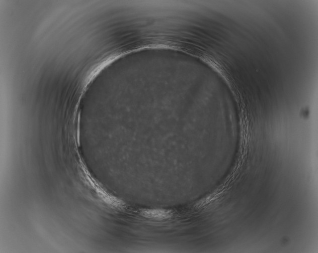 X0000116101127200912071253