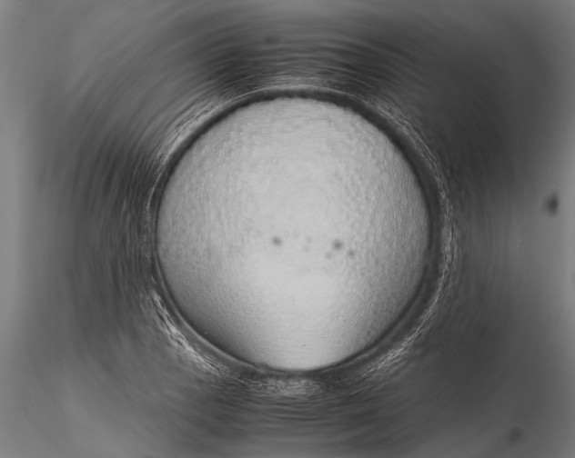 X0000116101129200912071253