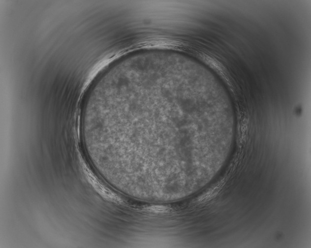 X0000116101130200912071253