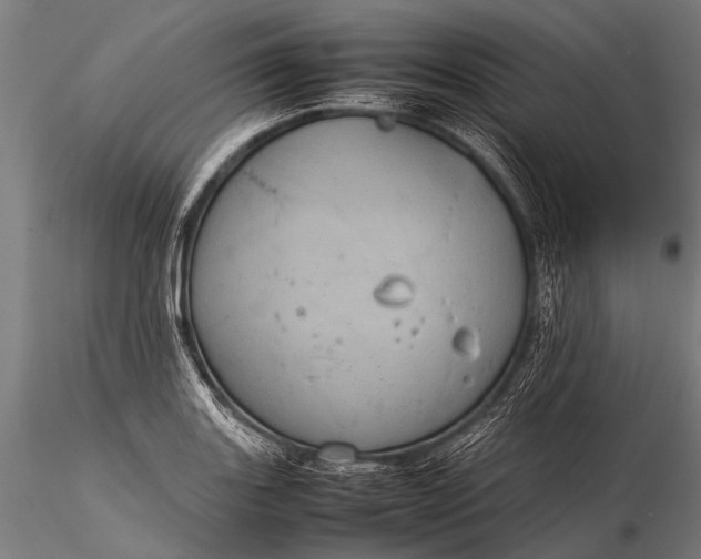 X0000116101131200912071253