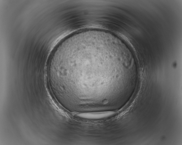 X0000116101133200912071253