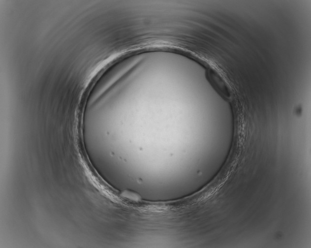 X0000116101134200912071253