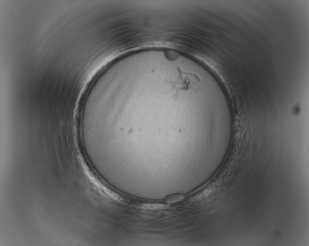 X0000116101135200912071253