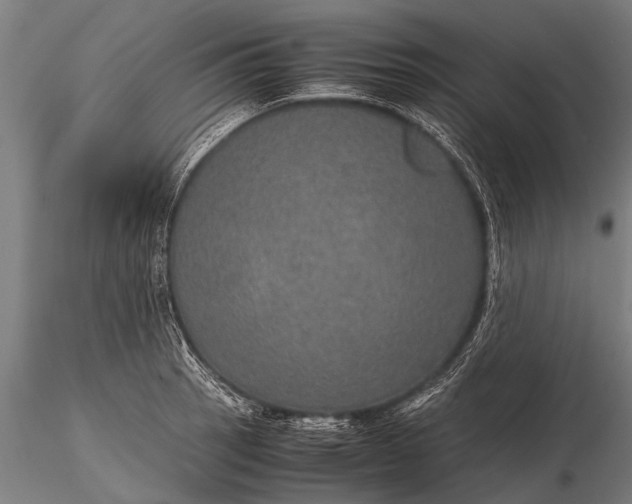 X0000116101137200912071253