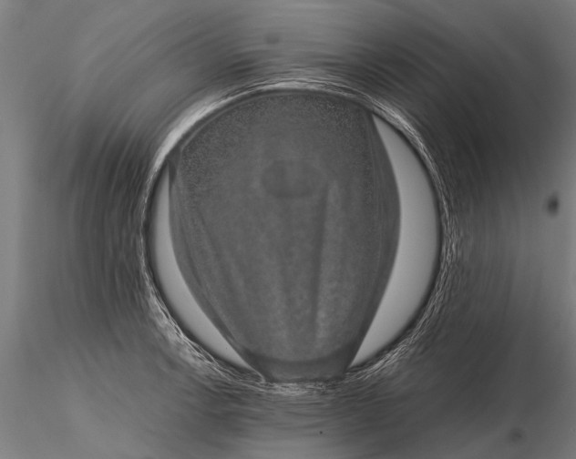 X0000116101138200912071253