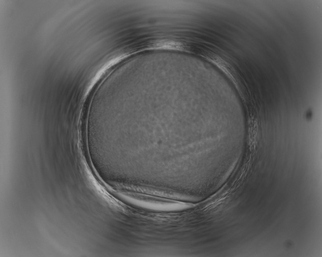 X0000116101139200912071253