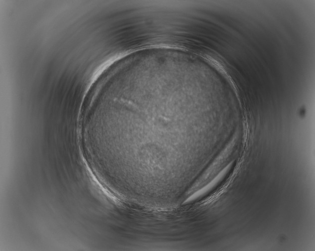 X0000116101141200912071253