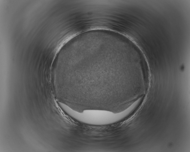 X0000116101145200912071253