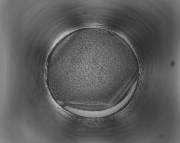 X0000116101147200912071253