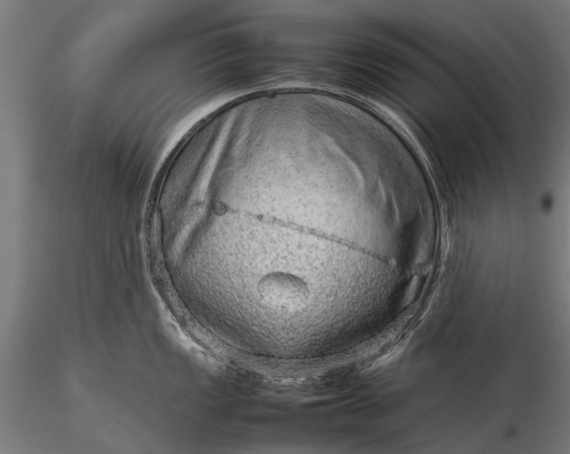 X0000116101149200912071254