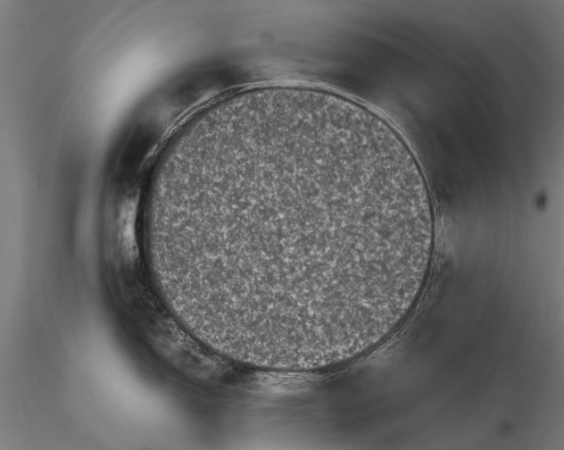 X0000116101150200912071254