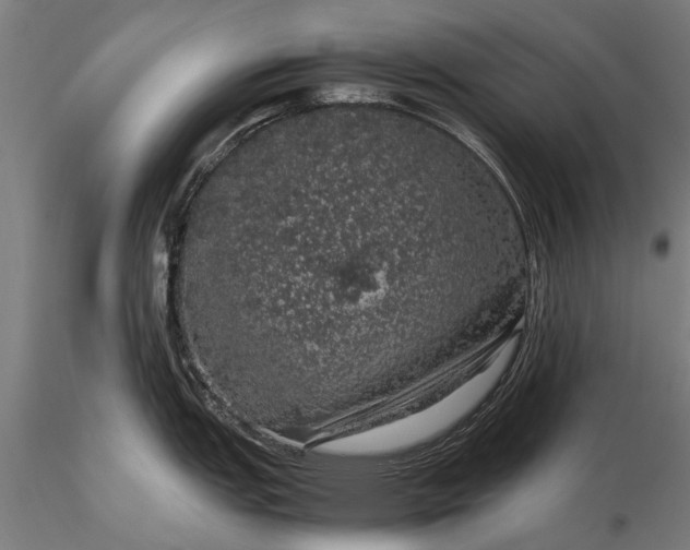 X0000116101151200912071254