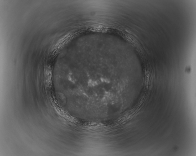 X0000116101154200912071253