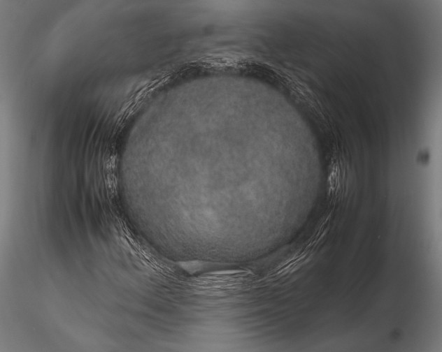 X0000116101156200912071253