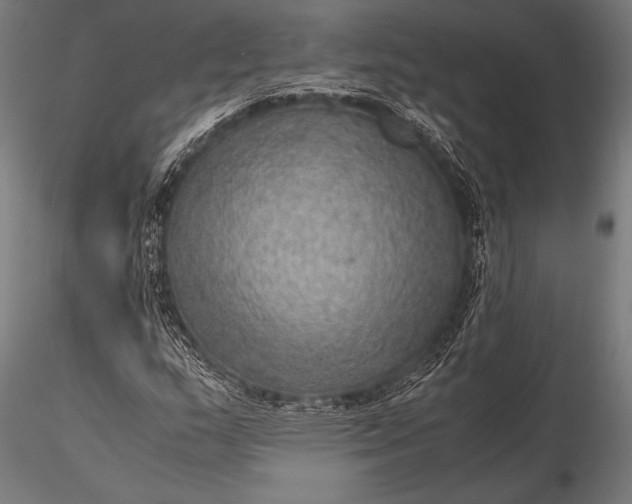 X0000116101159200912071253