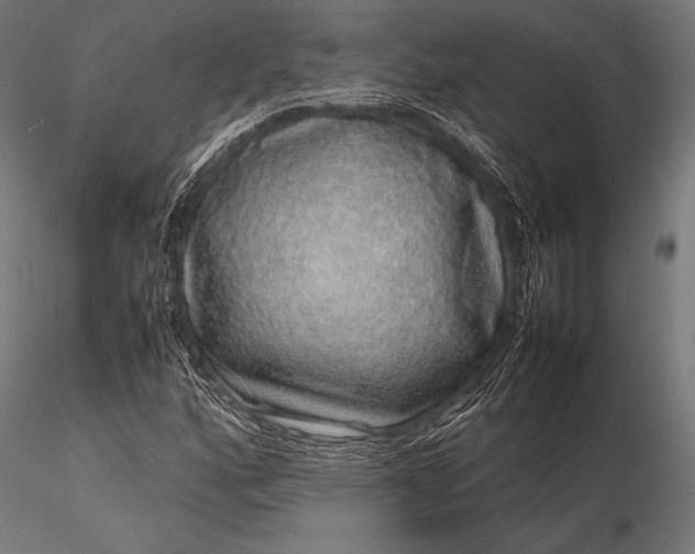 X0000116101160200912071253