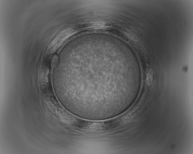 X0000116101161200912071253