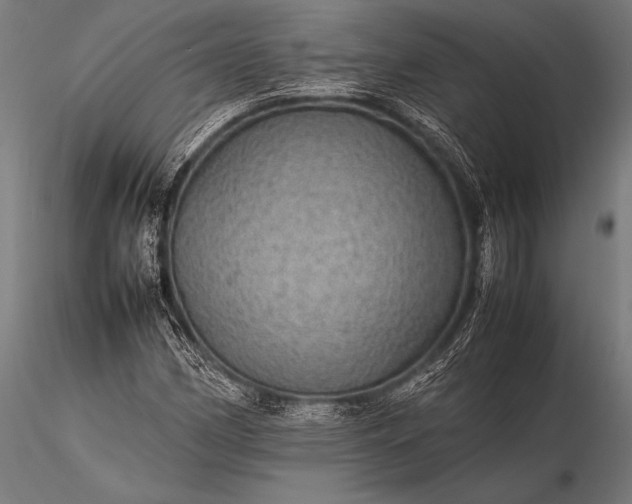 X0000116101162200912071253