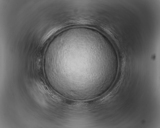 X0000116101163200912071253