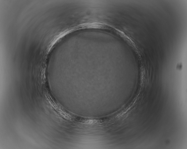 X0000116101166200912071253