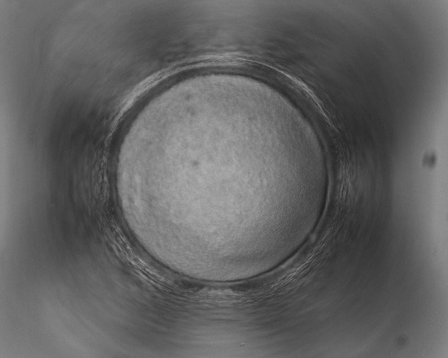 X0000116101168200912071253