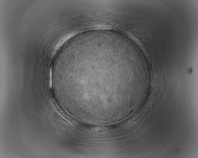 X0000116101171200912071252