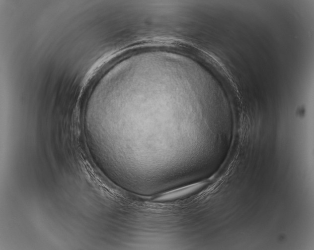 X0000116101172200912071252