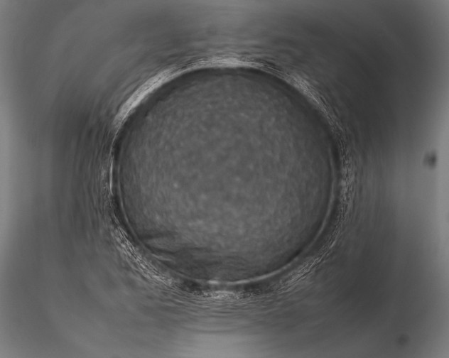 X0000116101173200912071252