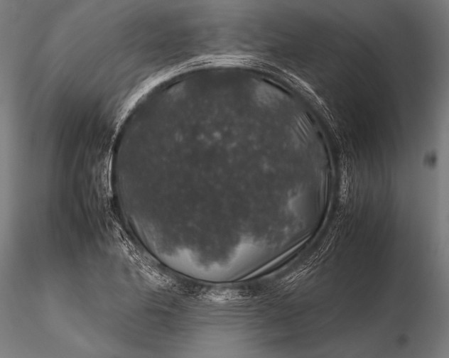 X0000116101174200912071252