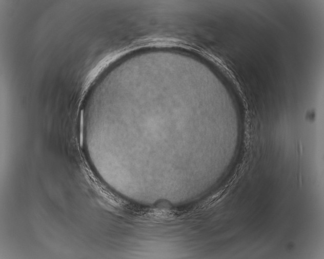 X0000116101175200912071252