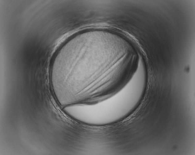 X0000116101176200912071252