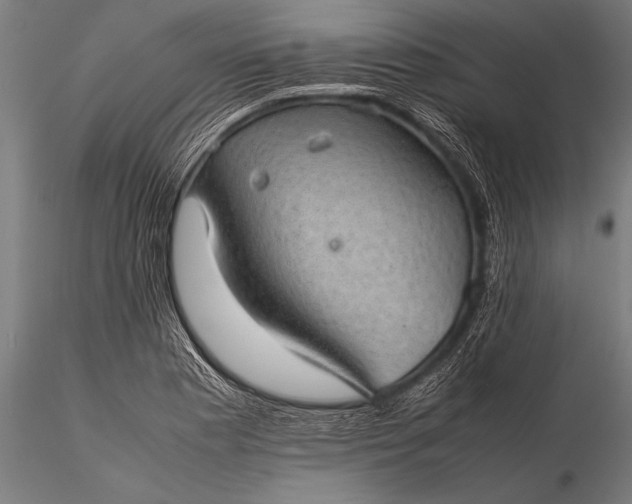 X0000116101177200912071252