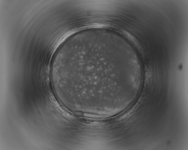 X0000116101178200912071252