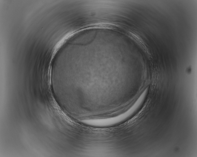 X0000116101180200912071252