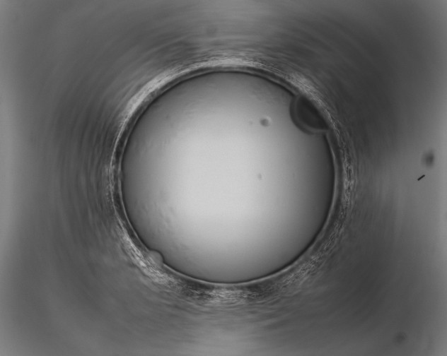 X0000116101181200912071252