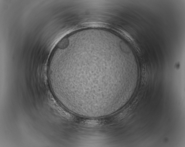 X0000116101182200912071252