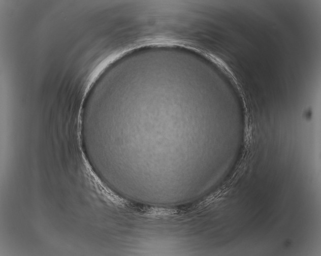 X0000116101183200912071252