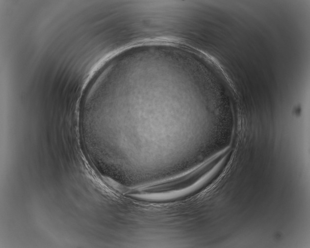 X0000116101184200912071252